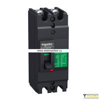 Автоматический выключатель EZC100 30 KA/380 В 2П/2Т 25 A Schneider Electric